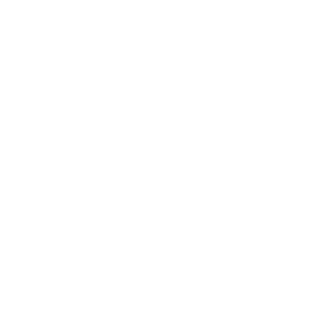 Sold Icon